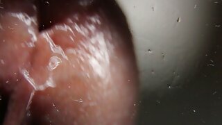 सुपर हॉर्नी बिम्बोसह जंगली आणि हॉट ग्रुप सेक्स व्हिडिओ