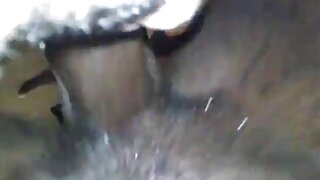 गोंडस Adriana ट्रक मध्ये एक अनोळखी कुत्रा शैली fucks
