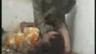 लांब केसांची श्यामला डाना वेरॉन तिच्या ओल्या मांजरीला गुदगुल्या करत आहे
